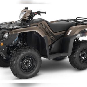 2022 Honda Recreation/Utility FourTrax Foreman Rubicon 4x4 EPS