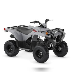 New 2022 Yamaha Recreation/Utility Grizzly EPS